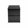 Tvilum Scottsdale 2 Drawer Wood Nightstand In Black Woodgrain